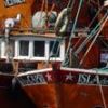 Fishingboats at Mar del Plata, Argentina