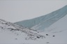 The ice wall around the Czajkowski nunatak