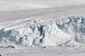 Ecology glacier closeup